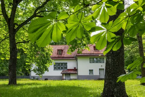 Экскурсия по парку «Курортники-дачники: летний сезон в Кадриорге»