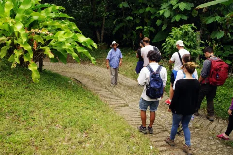 Exhibitions & Guided Tours