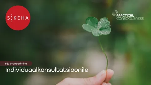 Practical Consciousness individuaalne konsultatsioon