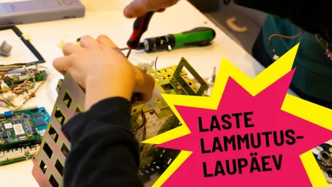 Laste lammutuslaupäev
