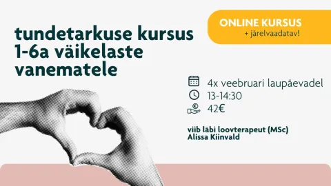 💻 ONLINE kursus "tundetarkuse grupp väikelaste vanematele"