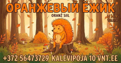 Oranž siil / Оранжевый ежик - Vene Noorsooteater
