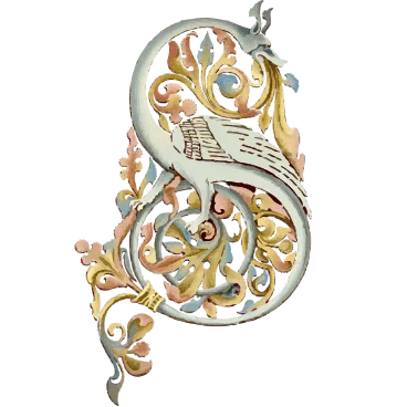 Profile picture for user draakonipesamtu