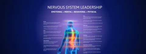 Nervous System Leadership Packages