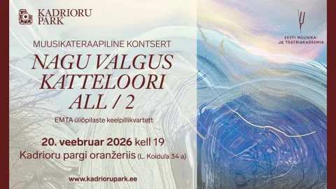 Muusikateraapiline kontsert "Nagu valgus katteloori all" 2