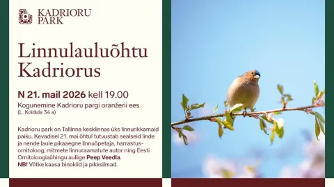 Linnulauluõhu Kadriorus Peep Veedlaga