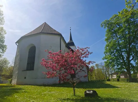 Heategevuskontsert "SAAGU VALGUS!" Viljandi Jaani kiriku välisremondi toetuseks