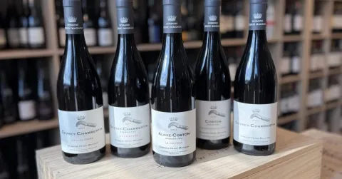 Burgundia õhtu: Pinot Noir Domaine Henri Magnien