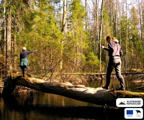 🌿Õppematk Poruni põlismetsas