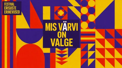 ERISUSTE ERINEVUSED FESTIVAL: Lemoot kompanii x Lõunatera teatrietendus "Mis värvi on valge"