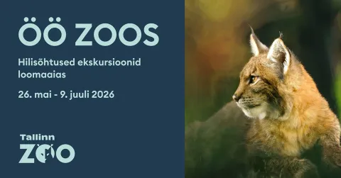 Öö Zoos - hilisõhtused ekskursioonid loomaaias 2026 - eesti keeles / Põhjavärav grupp 4