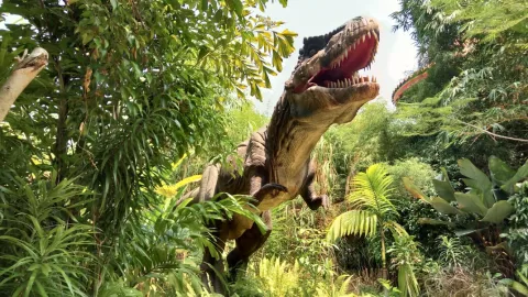 Muuseumihommik „Kes on tänapäeva T-rex?“