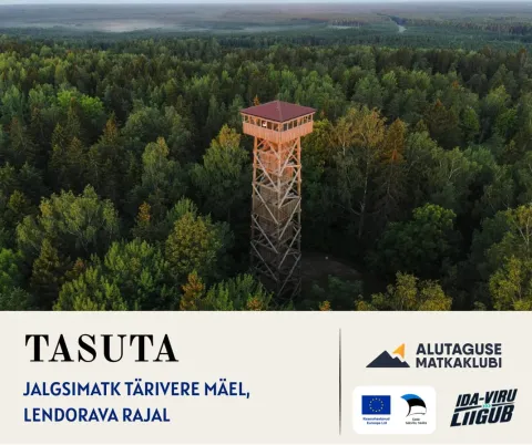 Jalgsimatk Tärivere mäel, lendorava rajal
