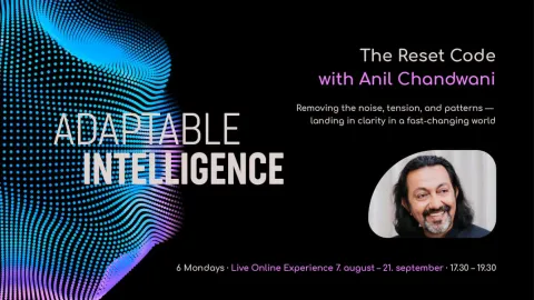 THE RESET CODE: ADAPTABLE INTELLIGENCE