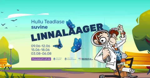 Hullu Teadlase suvine linnalaager