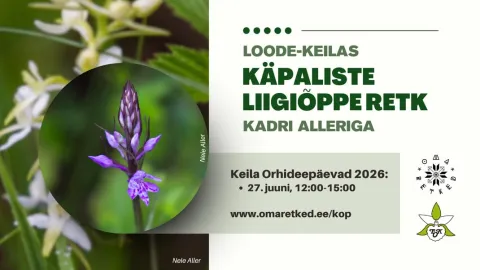 Keila Orhideepäevad: käpaliste liigiõppe retk