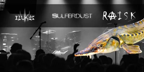 TUUR 20 RAISK: ELUKAS / SULFERDUST (FIN) / RAISK