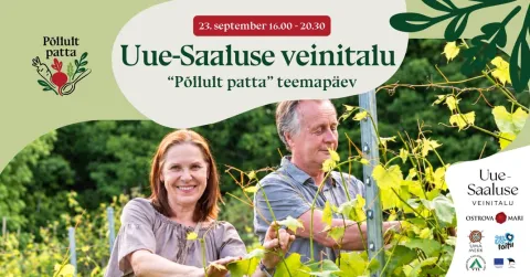 "Põllult Patta" teemapäev Uue-Saaluse Veinitalus