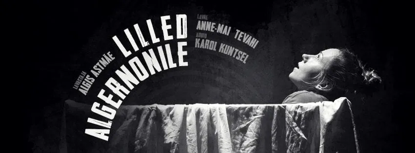 “LILLED ALGERNONILE” & VESTLUSÕHTU
