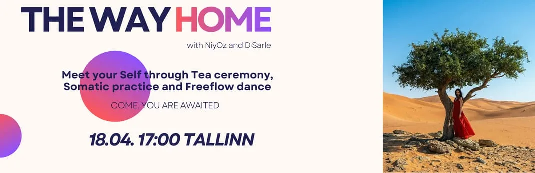 THE WAY HOME: Tallinn