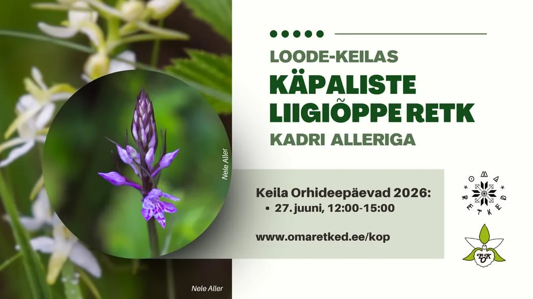 Keila Orhideepäevad: käpaliste liigiõppe retk